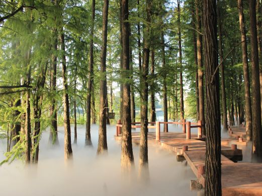 长沙旅游攻略，东湖落雁景区景点介绍