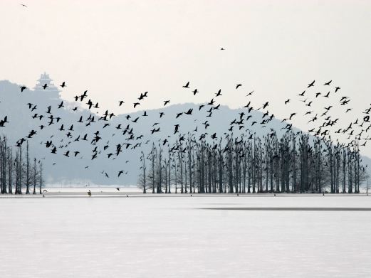 长沙旅游攻略，东湖落雁景区景点介绍