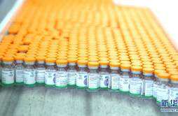 国药中国生物供应COVAX首批新冠疫苗在京下线