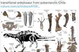 科学家在智利发现新恐龙物种：自带“装甲”骨骼