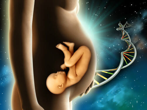 孕期胎教读物如何选择？
