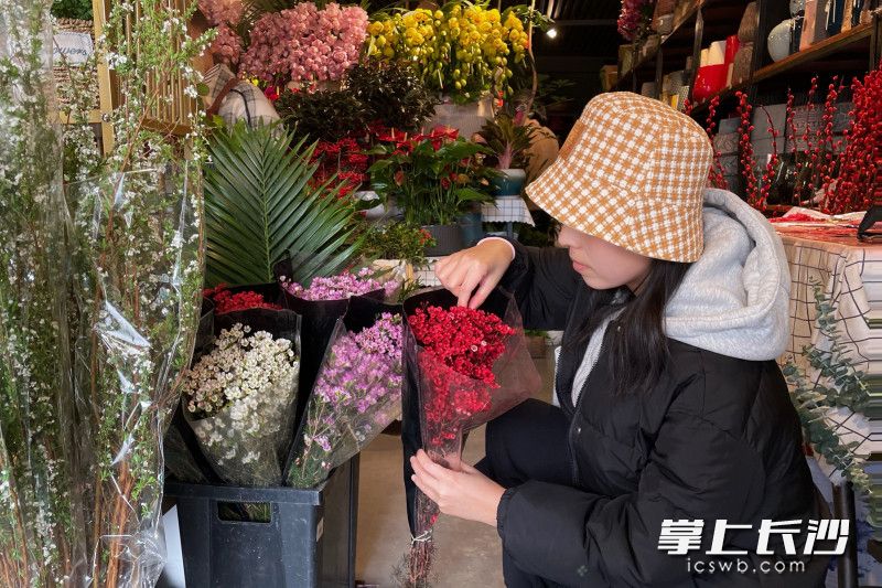 花卉市场里，市民正精心挑选腊梅花。照片均为长沙晚报全媒体记者 刘攀 摄