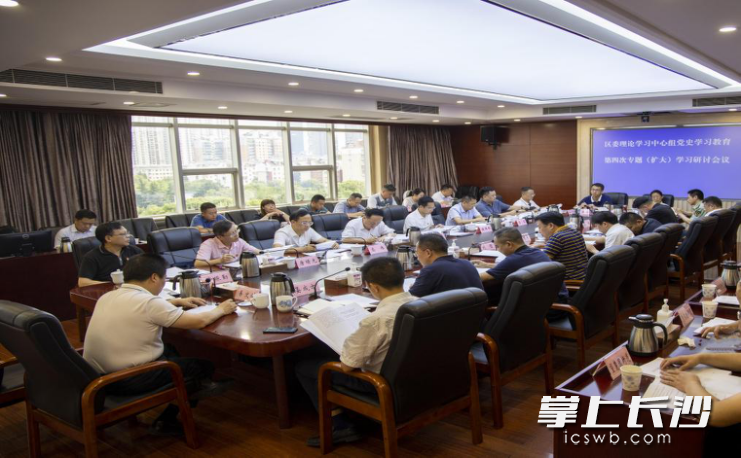 （区委理论学习中心组举行党史学习教育第四次专题学习研讨）