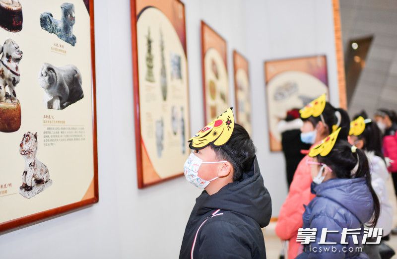 学生们正在观看展览。图片均为长沙晚报全媒体记者 邹麟 摄