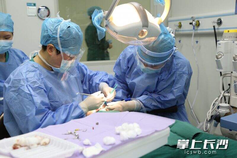 长沙市口腔医院医护人员在为患者做口腔疾病的精心诊治。由医院供图