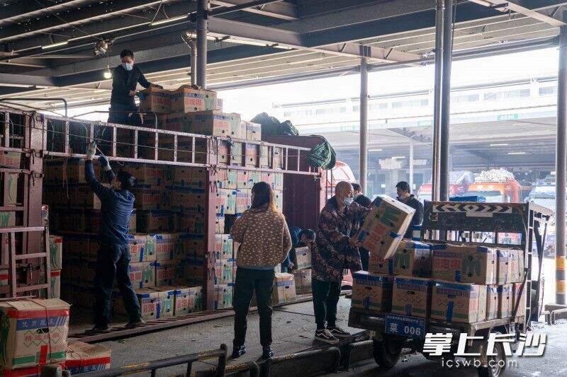 清明假期期间，长沙黄兴海吉星农产品物流园防疫保供两手抓，全力保障市民“菜篮子”。 长沙晚报全媒体记者 邓迪 摄
