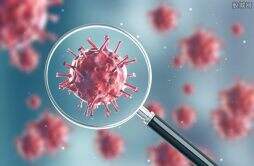 阳性和确诊什么区别 揭感染新冠病毒的特征