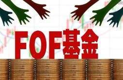 fof基金适合什么样的投资者 FOF基金特点是什么