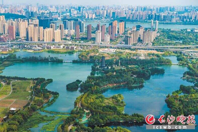 △ 在湘江西岸，风景如画的洋湖湿地公园已经成为市民日常休闲游玩必去的景点。（图片来源：长沙晚报）