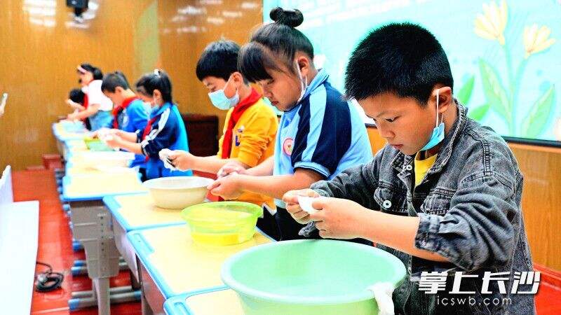 5月17日，长沙县蓓蕾小学举行了“双减在行动 劳动我最美”劳动技能大赛。长沙晚报全媒体记者 刘晓敏 摄