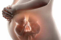 准妈妈孕吐是胎儿的自卫反应