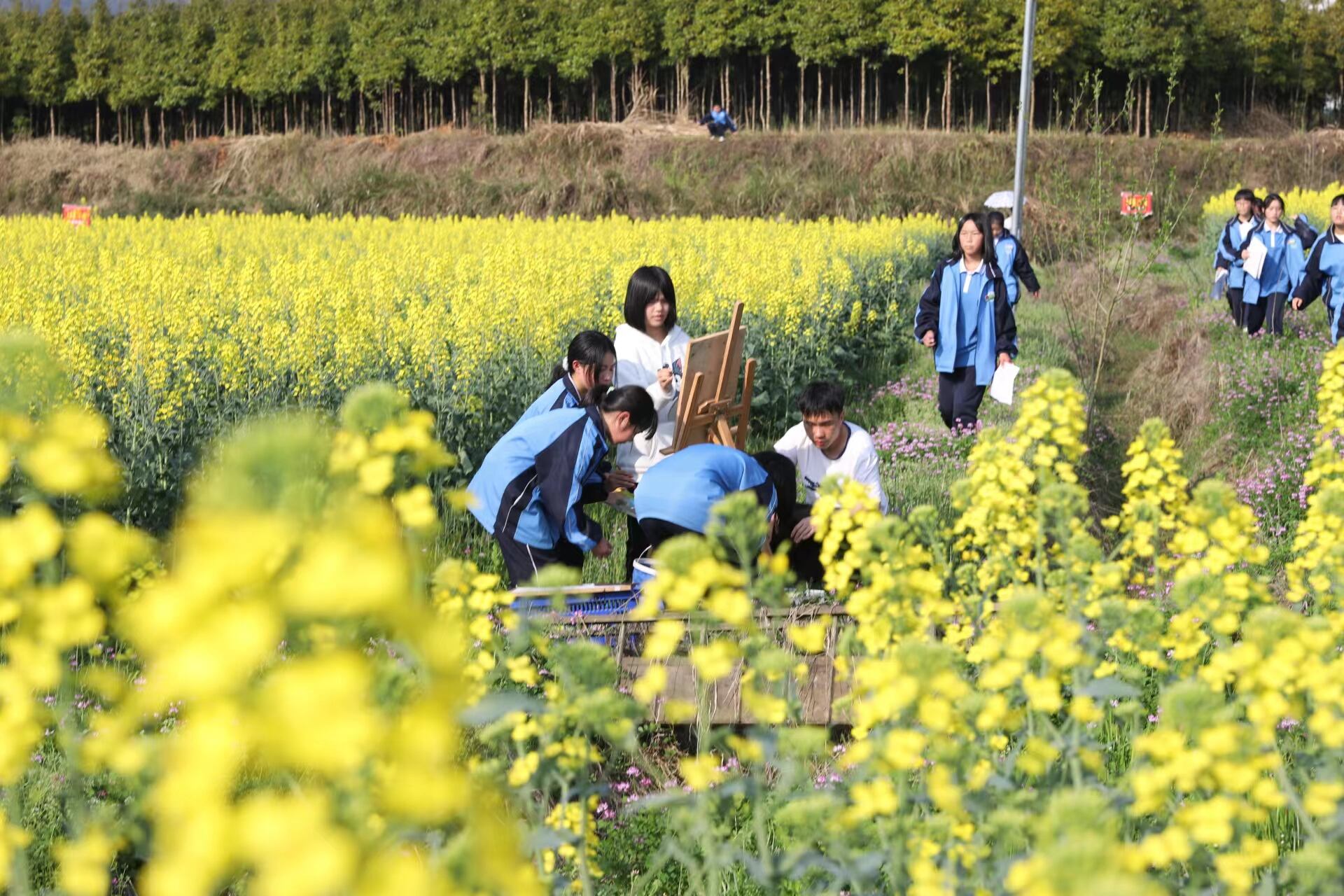 在自己种植的油菜花海中，浏阳市高坪中学学生上劳动实践课。长沙晚报通讯员 朱顺清 李谟平 摄