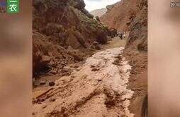新疆景区突发泥石流：游客惊险逃命 皮卡车瞬间被吞没