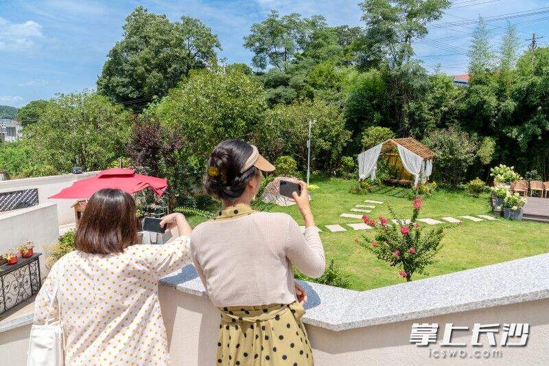 璟蓝民宿的小院里，刚举办了一场草坪婚礼。