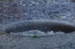 实拍郑州暴雨：多地街道出现积水 交警提醒出行注意安全！