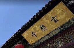 南京吴阿萍究竟是谁 玄奘寺事件是谁先发现的？