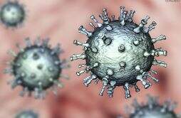 世卫针对猴痘发布最高级别警报 中国有猴痘确诊病例吗