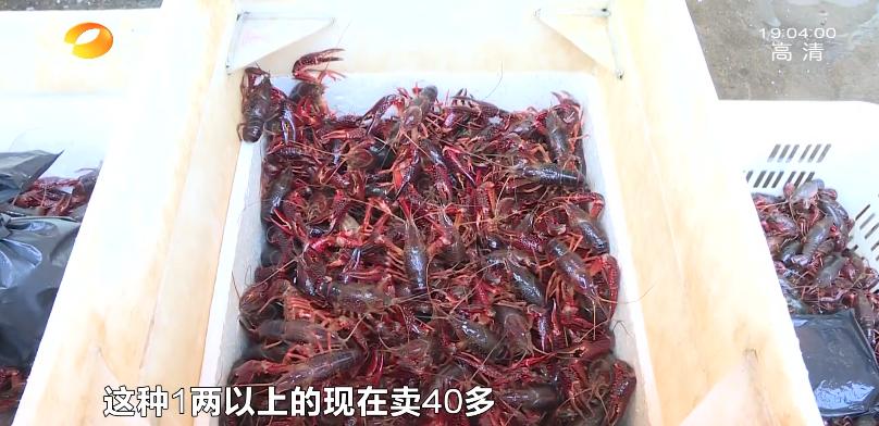 长沙每天吃掉小龙虾60万斤！“嘬虾”到底有多猛？