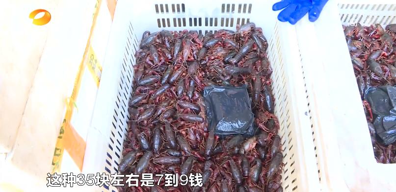 长沙每天吃掉小龙虾60万斤！“嘬虾”到底有多猛？