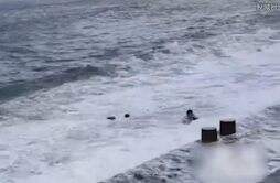 青岛2名游客被海浪卷入海中 现场画面曝光让人揪心