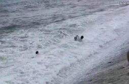 青岛2游客被浪卷走均不幸遇难 听到这个消息让人很揪心
