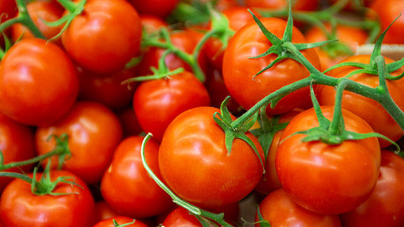 番茄和什么一起吃好 番茄和什么一起吃好消化