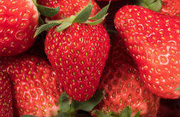 草莓吃不完怎么腌制 腌制草莓的能放多久