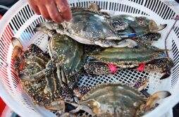 男子买7斤螃蟹少3斤商家被罚3万 市场管理员做法让人意外