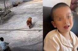 云南2岁失联男童消息 失踪小男孩怎么找到的