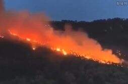 重庆涪陵山火复燃火线沿山体蔓延 发生山火的原因是什么