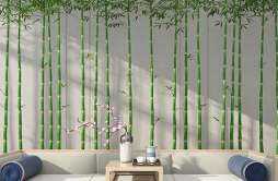 竹子的养殖方法和注意事项 竹子的养殖方法