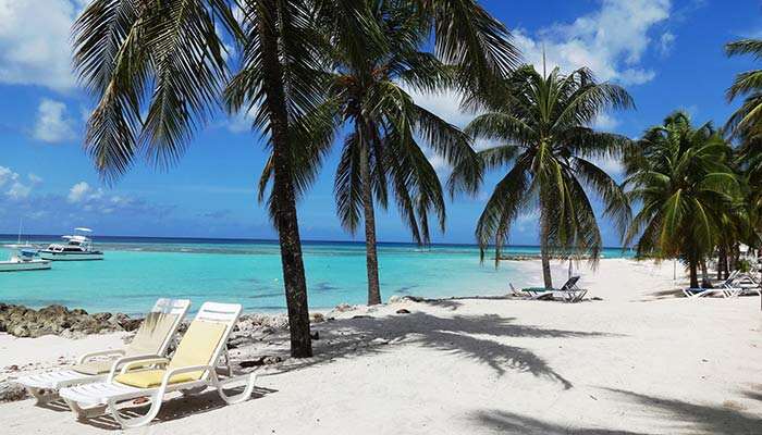 牙买加旅游攻略 牙买加在哪个国家