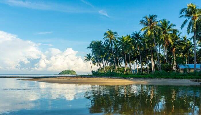 世界上最大的椰子出口国是哪个国家 世界上最大的椰子出口国在哪里