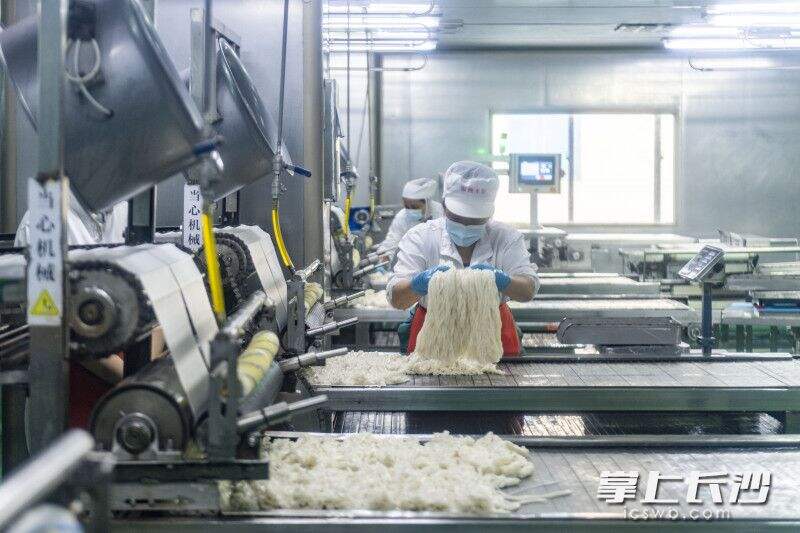 银洲米粉工作人员在自动化生产线上忙碌。长沙晚报全媒体记者 郭雨滴 摄