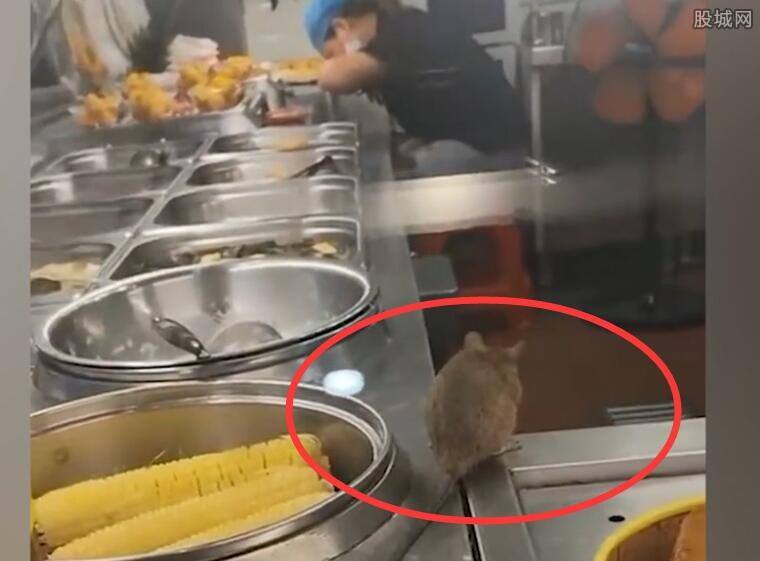餐厅出现老鼠