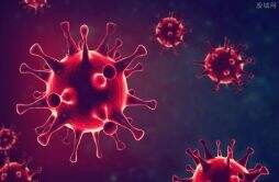 美国人为什么不怕新冠病毒 美国疫情最新状况严重吗