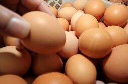 鸡蛋一天吃几个合适能不能多吃？ 告诉你答案来了