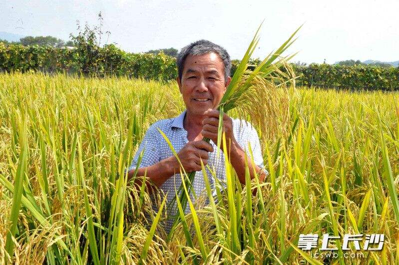 刘阳市达浒镇孔蒲中家庭农场，孔蒲中的260多亩种养殖基地，产值达到260多万元。