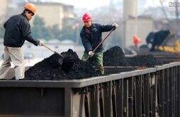 波兰发生多起涂黑石头冒充煤炭事件 有不少民众被骗了