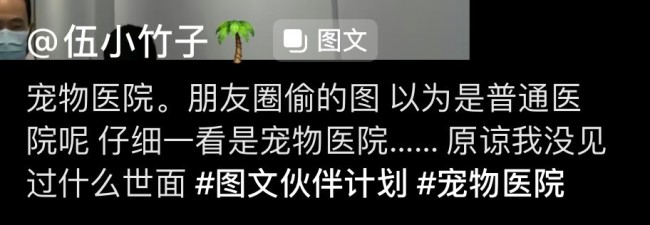 这就是宠物界的三甲医院吧 相当于动物界协和了吧