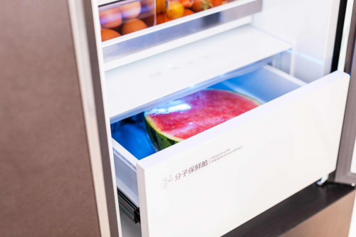 TCL再创辉煌，格物冰箱Q10荣获全球领鲜的好冰箱！