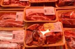 猪价格还会继续下跌吗 会影响年底的行情吗