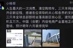 疯狂小杨哥粉丝刚过亿就直接买下一栋大楼 一年赚几亿人民币