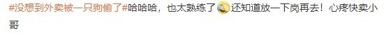 直视我！偷外卖的贼子！没想到外卖被一只狗偷了