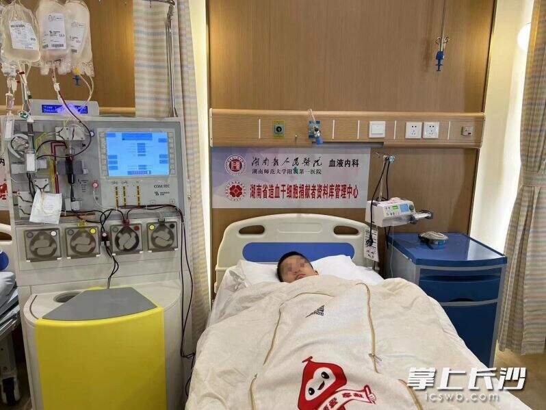 10岁的儿子为白血病妈妈捐献造血干细胞。  均为长沙晚报通讯员 刘文君 贺俊 供图