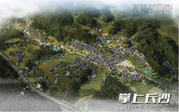 岳阳县张谷英镇张谷英村村庄规划项目示意图