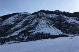 新疆雪豹夜闯滑雪场 当地负责人回应