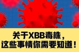 XBB的致病力增加了该如何来应对