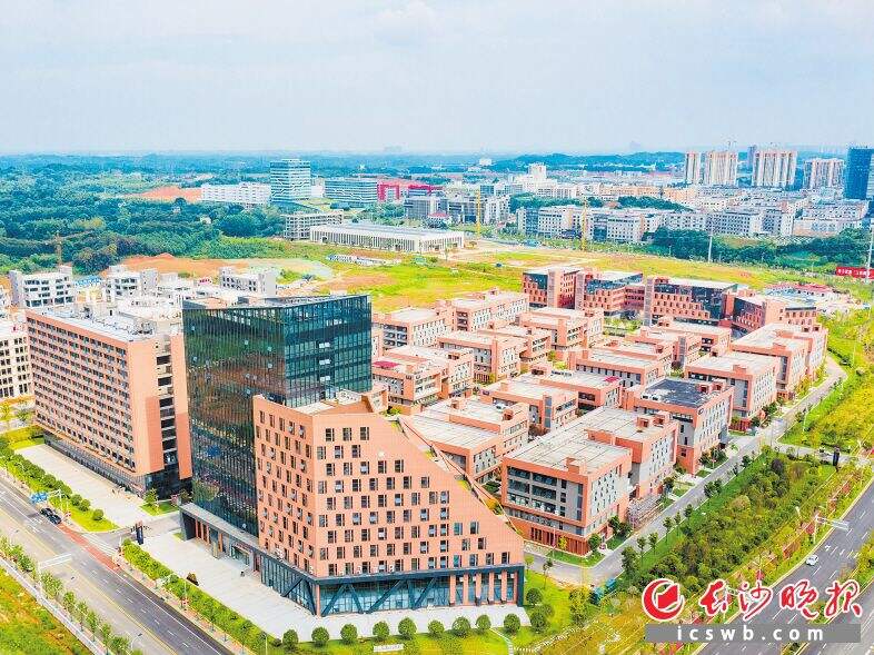 金霞未来科技城成为园区医疗健康产业发展引擎。