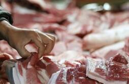 年关来临猪肉价格为何不涨反跌